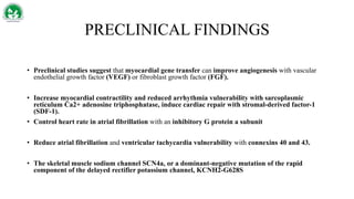PRECLINICAL FINDINGS
• Preclinical studies suggest that myocardial gene transfer can improve angiogenesis with vascular
endothelial growth factor (VEGF) or fibroblast growth factor (FGF).
• Increase myocardial contractility and reduced arrhythmia vulnerability with sarcoplasmic
reticulum Ca2+ adenosine triphosphatase, induce cardiac repair with stromal-derived factor-1
(SDF-1).
• Control heart rate in atrial fibrillation with an inhibitory G protein a subunit
• Reduce atrial fibrillation and ventricular tachycardia vulnerability with connexins 40 and 43.
• The skeletal muscle sodium channel SCN4a, or a dominant-negative mutation of the rapid
component of the delayed rectifier potassium channel, KCNH2-G628S
 