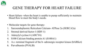 GENE THERAPY FOR HEART FAILURE
• Heart failure- when the heart is unable to pump sufficiently to maintain
blood flow to meet the body’s needs.
• Molecular targets for gene therapy-
1. Sarcoendoplasmic Reticulum Calcium- ATPase 2a (SERCA2a)
2. Stromal derived factor-1 (SDF-1)
3. Adenylyl cyclase 6 (ADCY6)
4. S100 Calcium binding protein A1 (S100A1)
5. A c- terminal fragment of the b- adrenergic receptor kinase (bARKct)
6. Parvalbumin (PVALB)
 