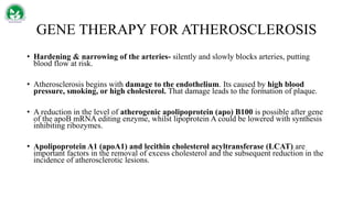 GENE THERAPY FOR ATHEROSCLEROSIS
• Hardening & narrowing of the arteries- silently and slowly blocks arteries, putting
blood flow at risk.
• Atherosclerosis begins with damage to the endothelium. Its caused by high blood
pressure, smoking, or high cholesterol. That damage leads to the formation of plaque.
• A reduction in the level of atherogenic apolipoprotein (apo) B100 is possible after gene
of the apoB mRNA editing enzyme, whilst lipoprotein A could be lowered with synthesis
inhibiting ribozymes.
• Apolipoprotein A1 (apoA1) and lecithin cholesterol acyltransferase (LCAT) are
important factors in the removal of excess cholesterol and the subsequent reduction in the
incidence of atherosclerotic lesions.
 
