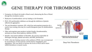 GENE THERAPY FOR THROMBOSIS
• Formation of a blood clot inside a blood vessel, obstructing the flow of blood
through the circulatory system.
• Reduction of antithrombotic activity leading to clot formation.
• PGI2, NO and thrombin inhibitors act through the inhibition of platelet
adhesion & aggregation.
• The anti thrombotic treatment, tPA, which has anticoagulant properties & is
used to lyse existing clots may be a useful therapeutic gene for antithrombotic
therapy.
• Other anticoagulant gene products include hirudin, thrombomodulin,
antistasin an tissue factor pathway inhibitor (TFPI).
• Hirudin- most potent inhibitor of thrombin, the enzyme responsible fir
fibrinogen cleavage, platelet activation, and SMC proliferation.
• COX-1, the rate limiting enzyme in the synthesis of PGI2, was overexpressed
by local delivery of Ad to porcine carotid arteries immediately post-
angioplasty. This was shown to increase the levels of PGI2 and in return
inhibit thrombosis in inured vessels.
Deep Vein Thrombosis
 