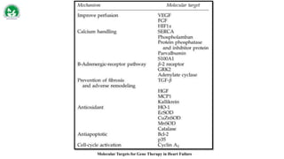 Molecular Targets for Gene Therapy in Heart Failure
 