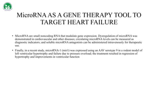 MicroRNAAS A GENE THERAPY TOOL TO
TARGET HEART FAILURE
• MicroRNA are small noncoding RNA that modulate gene expression. Dysregulation of microRNA was
demonstrated in cardiovascular and other diseases; circulating microRNA levels can be measured as
diagnostic indicators; and soluble microRNA antagonists can be administered intravenously for therapeutic
use.
• Finally, in a recent study, microRNA-1 (mir1) was expressed using an AAV serotype 9 in a rodent model of
left ventricular hypertrophy and failure due to pressure overload; the treatment resulted in regression of
hypertrophy and improvements in ventricular function
 