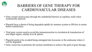 BARRIERS OF GENE THERAPY FOR
CARDIOVASCULAR DISEASES
• Gene vectors need to pass through the endothelial barriers in capillary walls when
systemically injected.
• Plasmid faces a threat of being degraded rapidly by immune system or DNAse in serum
before transfection.
• Viral gene vectors need to avoid the immunoreaction in circulation & transduction of
non target organs, mainly liver & spleen.
• Plasmid needs to be avoided being entrapped into lysosome or the endosome where it
will be degraded.
• Gene vector has to penetrate the nuclear membrane to achieve the goal of gene therapy.
 