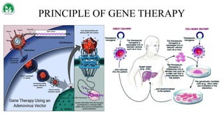 PRINCIPLE OF GENE THERAPY
 