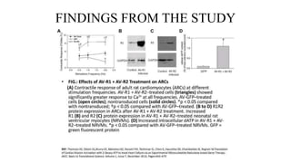 FINDINGS FROM THE STUDY
 