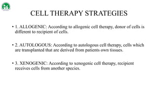 CELL THERAPY STRATEGIES
• 1. ALLOGENIC: According to allogenic cell therapy, donor of cells is
different to recipient of cells.
• 2. AUTOLOGOUS: According to autologous cell therapy, cells which
are transplanted that are derived from patients own tissues.
• 3. XENOGENIC: According to xenogenic cell therapy, recipient
receives cells from another species.
 