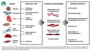 Potential cell sources for heart regeneration therapy. Embryonic (ESC) and induced pluripotent stem cell (iPSC) populations as well as adult stem cell types have
been shown to improve cardiac morphological and functional characteristics via differentiation towards cardiomyocytes (CMs), smooth muscle cells (SMCs) and
endothelial cells (ECs) or through paracrine effects.
 
