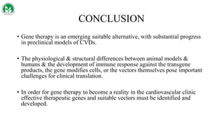 CONCLUSION
• Gene therapy is an emerging suitable alternative, with substantial progress
in preclinical models of CVDs.
• The physiological & structural differences between animal models &
humans & the development of immune response against the transgene
products, the gene modifies cells, or the vectors themselves pose important
challenges for clinical translation.
• In order for gene therapy to become a reality in the cardiovascular clinic
effective therapeutic genes and suitable vectors must be identified and
developed.
 
