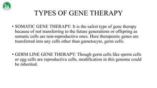 TYPES OF GENE THERAPY
• SOMATIC GENE THERAPY: It is the safest type of gene therapy
because of not transferring to the future generations or offspring as
somatic cells are non-reproductive ones. Here therapeutic genes are
transferred into any cells other than gametocyte, germ cells.
• GERM LINE GENE THERAPY: Though germ cells like sperm cells
or egg cells are reproductive cells, modification in this genome could
be inherited.
 