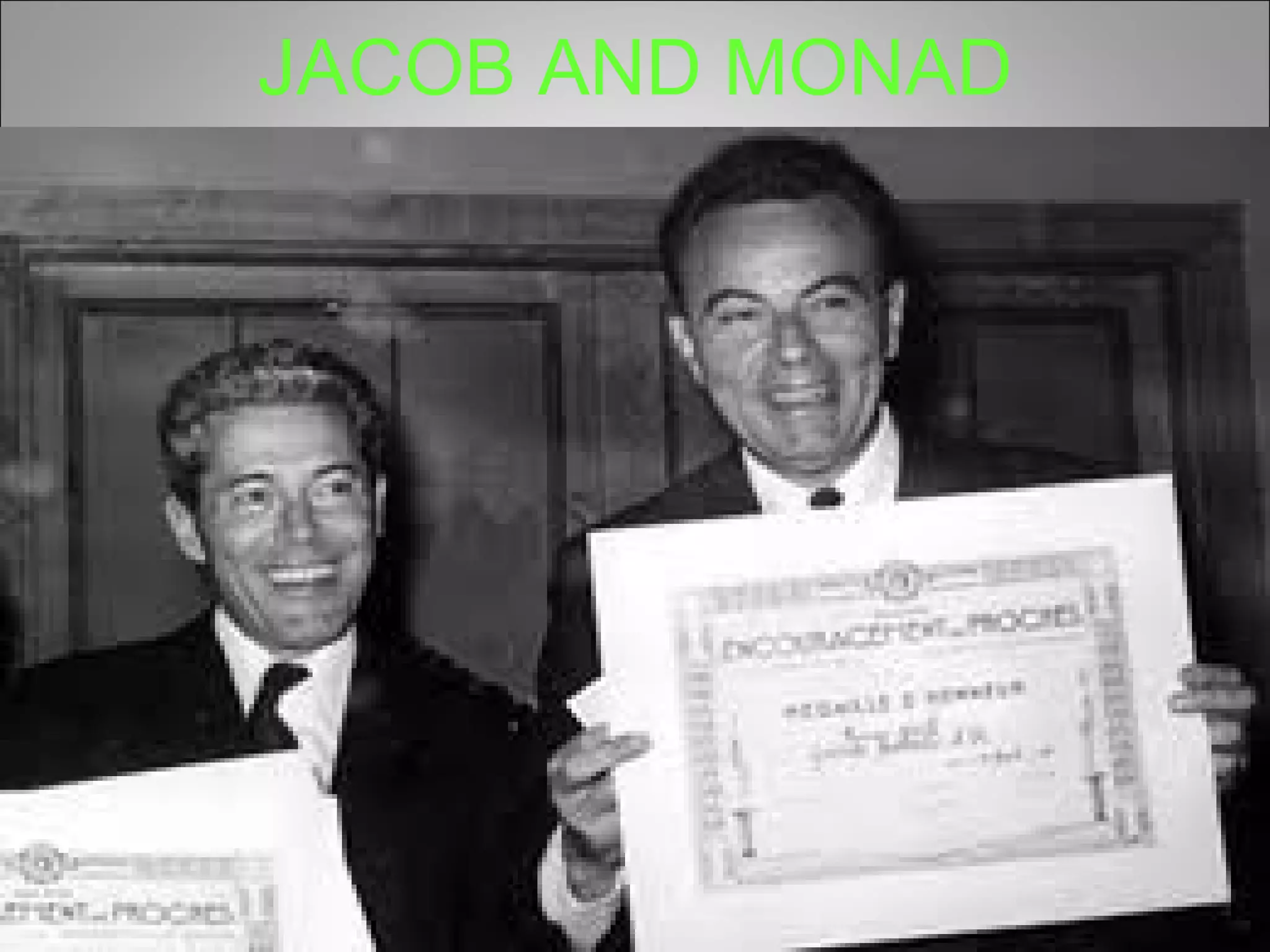 JACOB AND MONAD Monday, May 9, 2011 