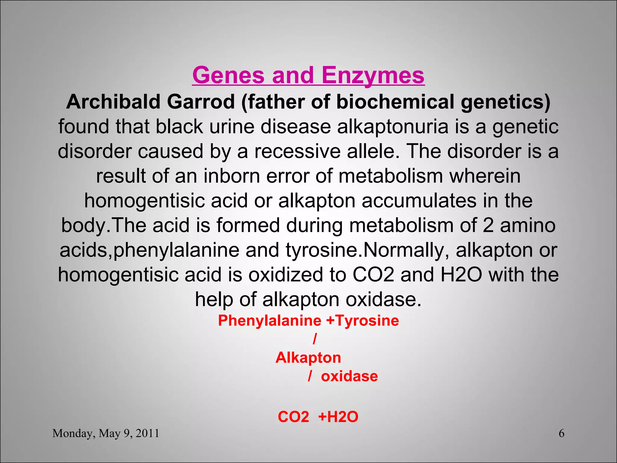 Genes and Enzymes Archibald Garrod (father of biochemical genetics)  found that black urine disease alkaptonuria is a genetic disorder caused by a recessive allele. The disorder is a result of an inborn error of metabolism wherein homogentisic acid or alkapton accumulates in the body.The acid is formed during metabolism of 2 amino acids,phenylalanine and tyrosine.Normally, alkapton or homogentisic acid is oxidized to CO2 and H2O with the help of alkapton oxidase. Phenylalanine +Tyrosine   / Alkapton   /  oxidase   CO2  +H2O Monday, May 9, 2011 