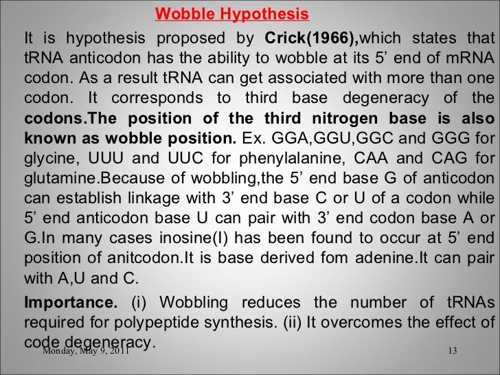 What is the Wobble hypothesis?