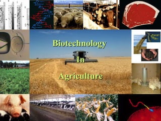 Biotechnology
Biotechnology
In
In
Agriculture
Agriculture
 