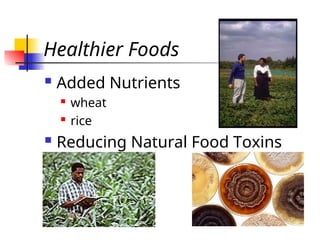 Healthier Foods
 Added Nutrients
 wheat
 rice
 Reducing Natural Food Toxins
 
