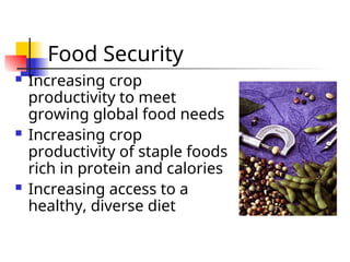 Food Security
 Increasing crop
productivity to meet
growing global food needs
 Increasing crop
productivity of staple foods
rich in protein and calories
 Increasing access to a
healthy, diverse diet
 