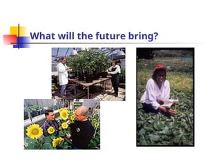 What will the future bring?
 