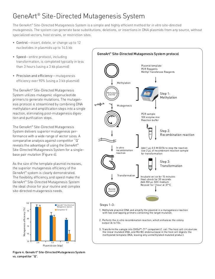 GeneArt® Seamless Cloning and Assembly Kit