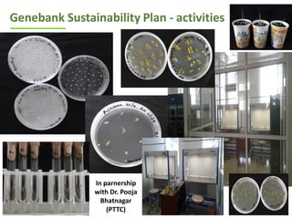 ICRISAT Global Planning Meeting 2019:   Genebank Sustainability Plan In action (2018 –2021) by Vania Azevedo