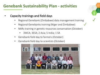 ICRISAT Global Planning Meeting 2019:   Genebank Sustainability Plan In action (2018 –2021) by Vania Azevedo