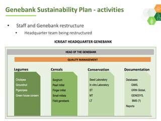 ICRISAT Global Planning Meeting 2019:   Genebank Sustainability Plan In action (2018 –2021) by Vania Azevedo
