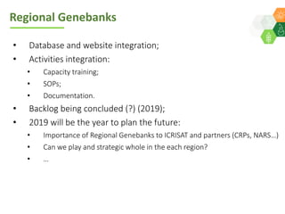 ICRISAT Global Planning Meeting 2019:   Genebank Sustainability Plan In action (2018 –2021) by Vania Azevedo