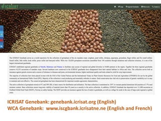 ICRISAT Global Planning Meeting 2019:   Genebank Sustainability Plan In action (2018 –2021) by Vania Azevedo