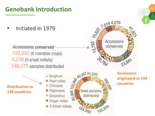 ICRISAT Global Planning Meeting 2019:   Genebank Sustainability Plan In action (2018 –2021) by Vania Azevedo