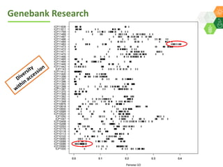 ICRISAT Global Planning Meeting 2019:   Genebank Sustainability Plan In action (2018 –2021) by Vania Azevedo