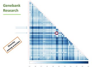ICRISAT Global Planning Meeting 2019:   Genebank Sustainability Plan In action (2018 –2021) by Vania Azevedo