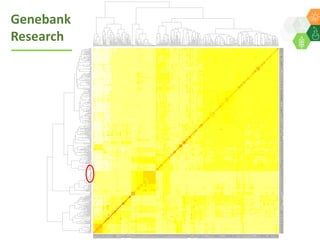 ICRISAT Global Planning Meeting 2019:   Genebank Sustainability Plan In action (2018 –2021) by Vania Azevedo