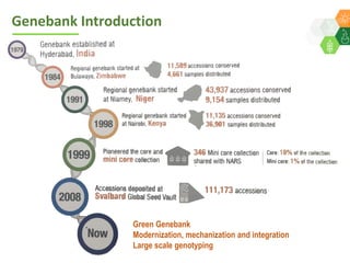 ICRISAT Global Planning Meeting 2019:   Genebank Sustainability Plan In action (2018 –2021) by Vania Azevedo