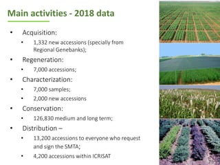 ICRISAT Global Planning Meeting 2019:   Genebank Sustainability Plan In action (2018 –2021) by Vania Azevedo