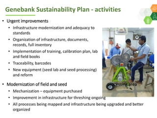 ICRISAT Global Planning Meeting 2019:   Genebank Sustainability Plan In action (2018 –2021) by Vania Azevedo