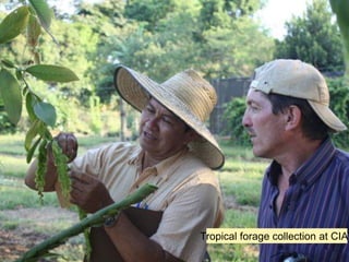 Genebanks – Presentation for Discussion with Donors and Partners – June 2013