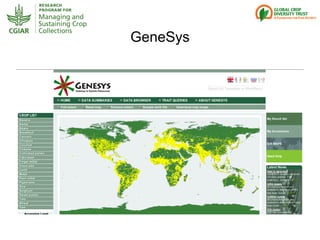 Genebanks – Presentation for Discussion with Donors and Partners – June 2013