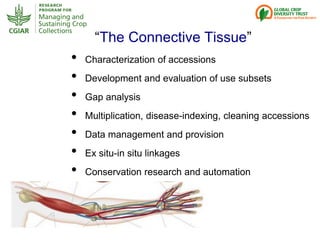 Genebanks – Presentation for Discussion with Donors and Partners – June 2013