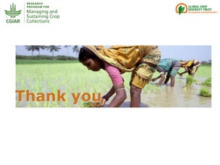 Genebanks – Presentation for Discussion with Donors and Partners – June 2013