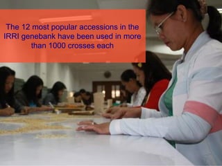 Genebanks – Presentation for Discussion with Donors and Partners – June 2013