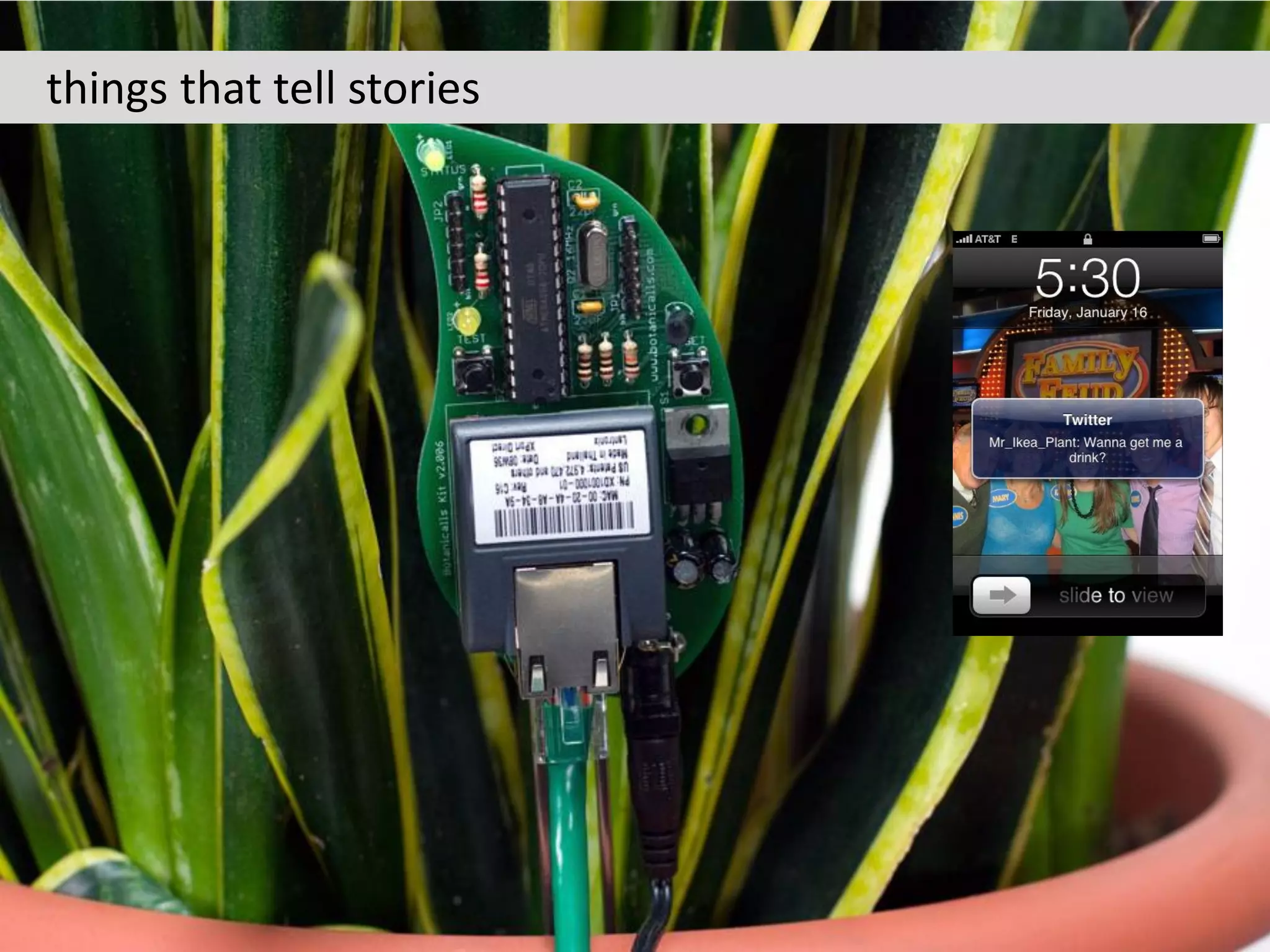 things that about…?
 but what tell stories
 