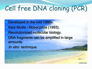 Each cell in a given colony has the same plasmid (& the same DNA)