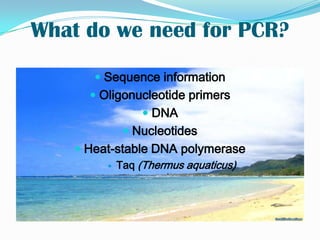 Cells in different colonies have different plasmids (& different DNA fragments)Cell free DNA cloning (PCR)Developed in the mid 1980s.Kary Mullis - Nobel prize (1993).Revolutionized molecular biology.DNA fragments can be amplified in large amounts.In vitro technique.
