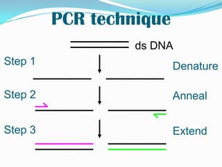 What do we need for PCR?Sequence informationOligonucleotide primersDNANucleotidesHeat-stable DNA polymeraseTaq(Thermusaquaticus)