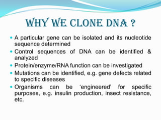 Why we clone dna ?A particular gene can be isolated and its nucleotide sequence determinedControl sequences of DNA can be identified & analyzedProtein/enzyme/RNA function can be investigatedMutations can be identified, e.g. gene defects related to specific diseasesOrganisms can be ‘engineered’ for specific purposes, e.g. insulin production, insect resistance, etc.