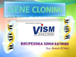 GENE CLONING BHUPENDRA SINGH RATHORE B.sc. Biotech (II Sem.) 
