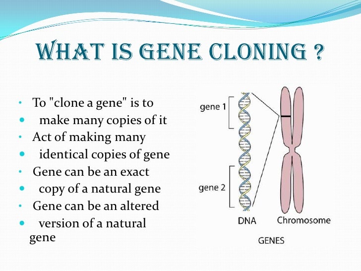 Gene cloning