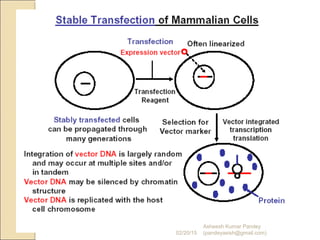 02/20/15
Asheesh Kumar Pandey
(pandeyasish@gmail.com)
 