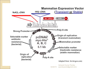 02/20/15
Asheesh Kumar Pandey
(pandeyasish@gmail.com)
 