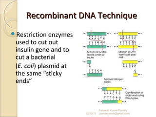 Recombinant DNA TechniqueRecombinant DNA Technique
Restriction enzymes
used to cut out
insulin gene and to
cut a bacterial
(E. coli) plasmid at
the same “sticky
ends”
02/20/15
Asheesh Kumar Pandey
(pandeyasish@gmail.com)
 