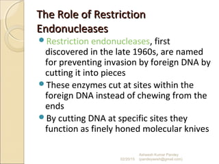 The Role of RestrictionThe Role of Restriction
EndonucleasesEndonucleases
Restriction endonucleases, first
discovered in the late 1960s, are named
for preventing invasion by foreign DNA by
cutting it into pieces
These enzymes cut at sites within the
foreign DNA instead of chewing from the
ends
By cutting DNA at specific sites they
function as finely honed molecular knives
02/20/15
Asheesh Kumar Pandey
(pandeyasish@gmail.com)
 