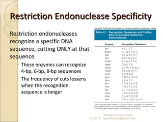 Restriction Endonuclease SpecificityRestriction Endonuclease Specificity
Restriction endonucleases
recognize a specific DNA
sequence, cutting ONLY at that
sequence
◦ These enzymes can recognize
4-bp, 6-bp, 8-bp sequences
◦ The frequency of cuts lessens
when the recognition
sequence is longer
02/20/15
Asheesh Kumar Pandey
(pandeyasish@gmail.com)
 